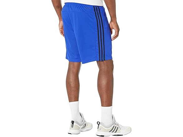 adidas Training Shorts (XLT)