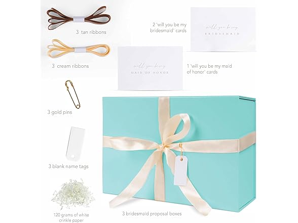 iPassion Gift Box Set - Bridesmaids Gift 3 Count