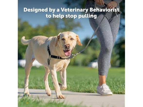 Petsafe Easy Walk No Pull Harness Black Large