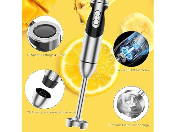 MEGAWISE Handheld 12-Speed Blender