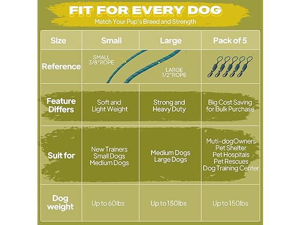 Fida Durable Slip Lead Dog Leash, 6 FT