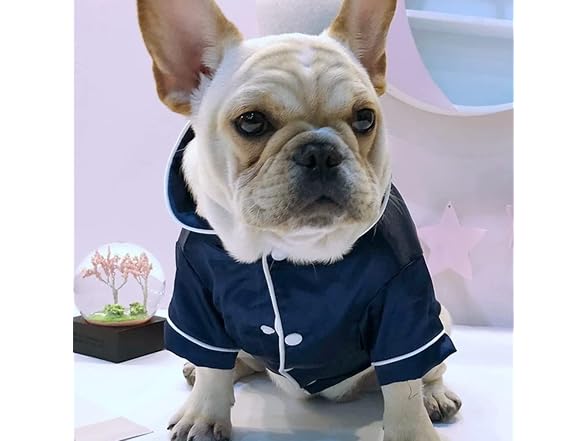 Dog Pajamas for Small Dogs Cats Silk Soft Sh