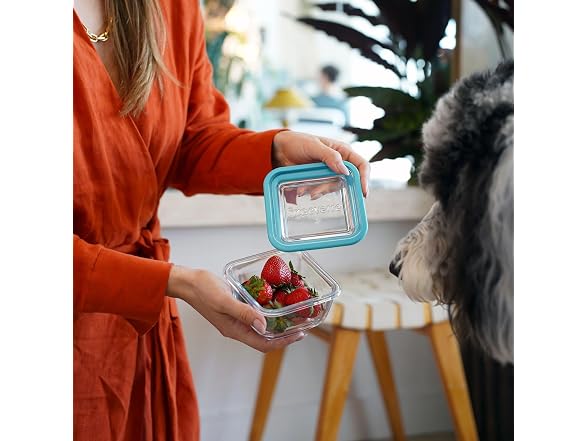 Bormioli Rocco 14.25 oz. Square  Glass  Storage Container 12CT