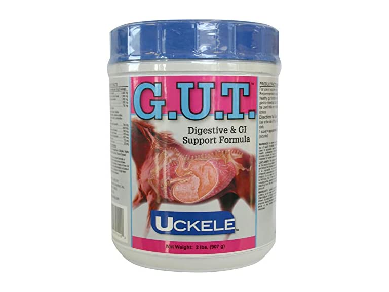 UCKELE HEALTH & NUTRITION INC Gut Powder