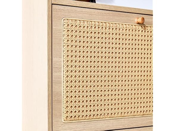 GIA 4-Door Rattan Storage Cabinet