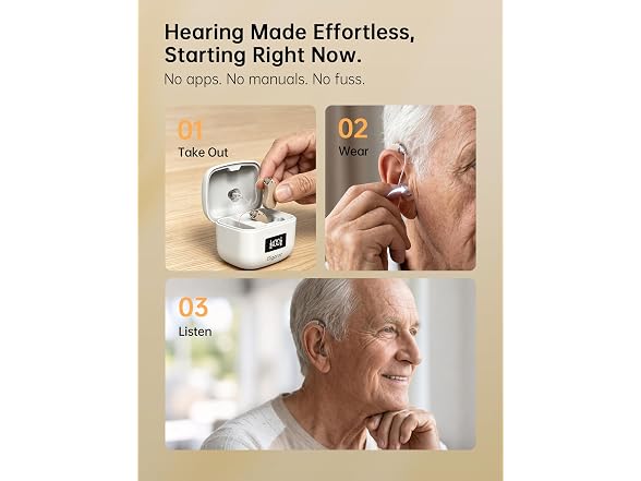 Bigprot Rechargeable Hearing Aids