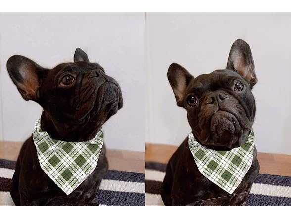 ARING PET Cotton Dog & Cat Bandanas