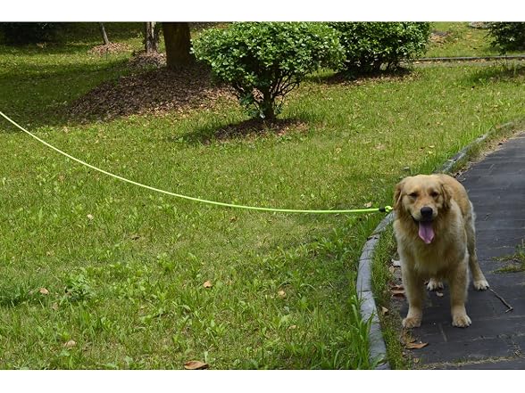 Shorven Nylon Strong Dog Rope Lead Reflective