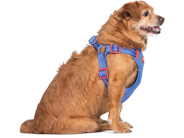 The Dodo Blue Dog Harness - Extra Small