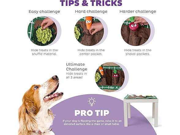 Outward Hound Garden Game Dog Puzzle