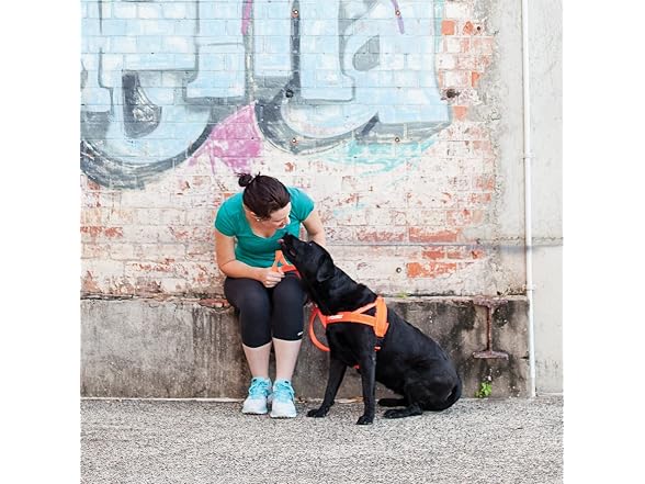EzyDog Quick Fit Dog Harness, Soft Neoprene