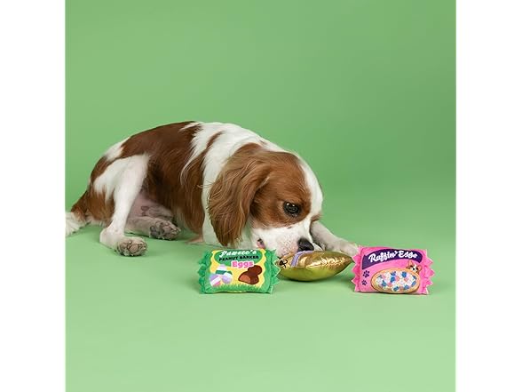 Fringe Studio Plush Dog Toy, 3 Pieces Set, Egg-STRA