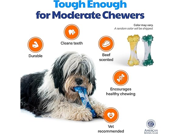 American Kennel Club Training Dog Chew Toy, Ombre