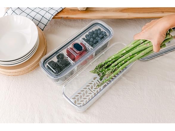 Latchlok Click 6.2 Cup Food Storage Container Storm