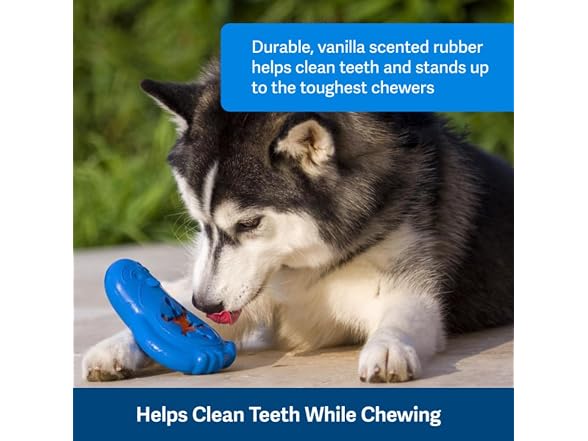 PetSafe Freezable Treat Food Dispensing Chew 