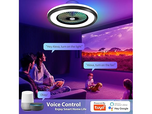Black Low Profile Ceiling Fan 24" RGB