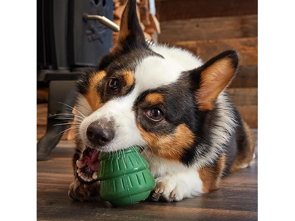 Barkbox Tough Timber Tree Super Chewer Toy