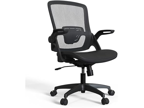 Sandure Mesh Office Chair Ergonomic