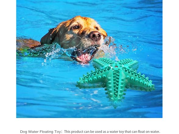 DotPet Dog Chew Toys for Aggressive Chewers, 