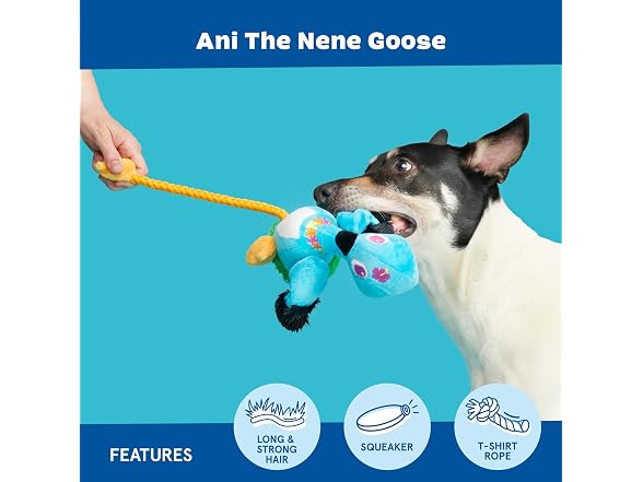 Barkbox ANI the Nene Goose Dog Toy