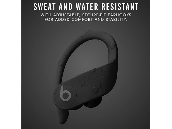 Beats Beats Powerbeats Pro Wireless Earbuds -