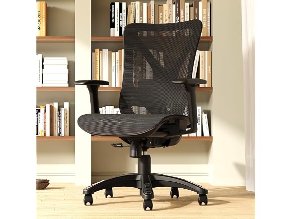 MOLENTS Ergonomic Mesh Office Chair 3D