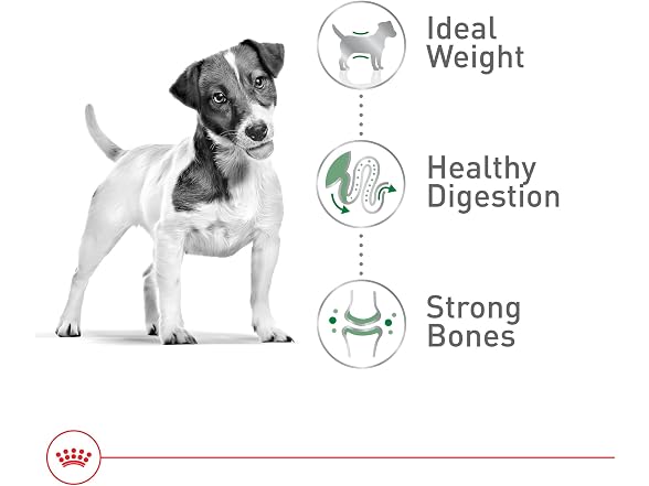 Royal Canin Size Health Nutrition Small Dog