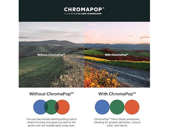 SMITH Riptide Sunglasses