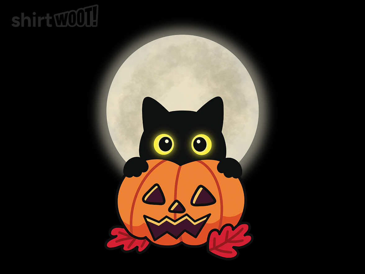 Spooky Feline - Gallery 9
