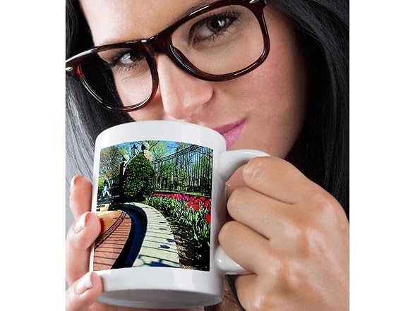 3dRose Tulips 11oz Transform Mug