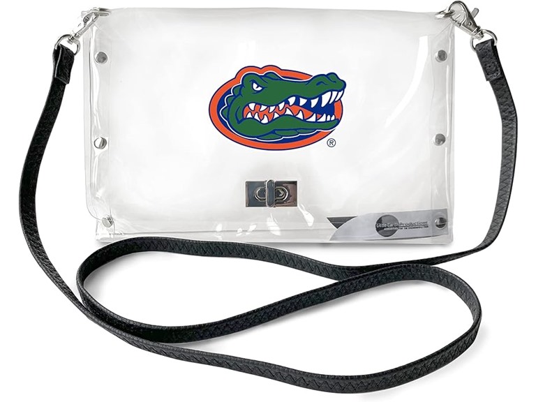 FLORIDA Clear Envelope Purse