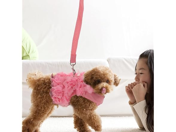 POPETPOP Dog Leash and Harness for Girls,Cut