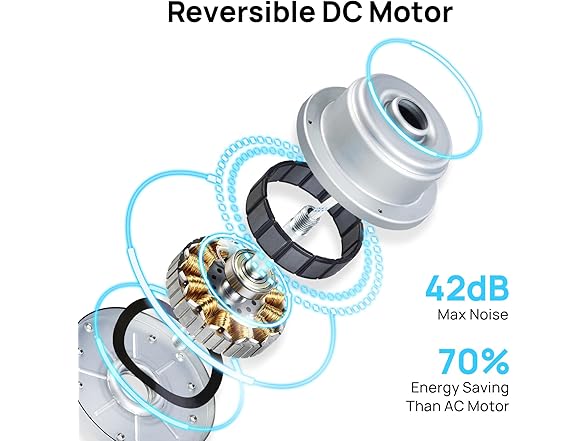 Consciot Ceiling Fan With Lights, 52 Inc