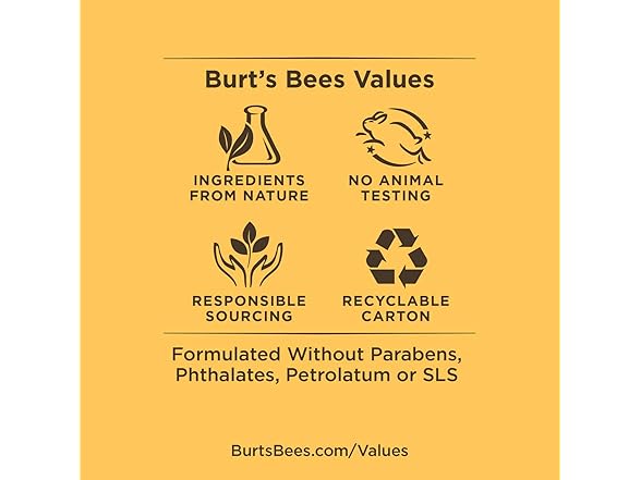 Burt's Bees Lip Balm Stocking Stuffers
