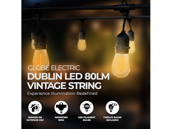 Globe 24' S14 Dublin LED Vintage String 12 Bulb Set