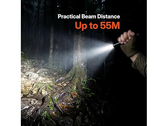 BLACK CANYON Small Flashlight 2-Pack