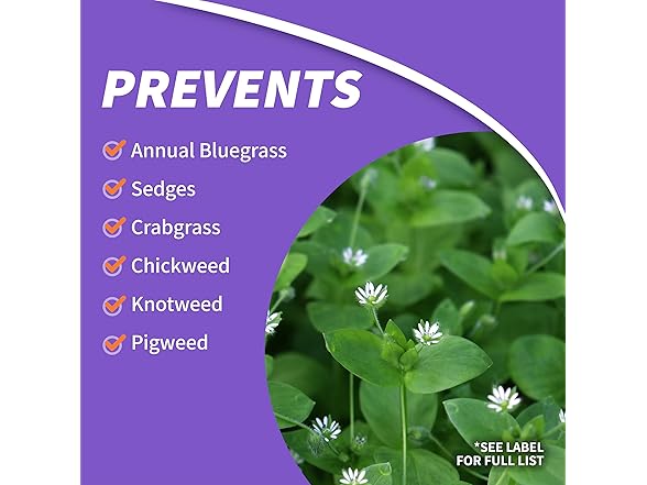 Bonide DuraTurf 29 oz Total Lawn Weed Control Ready-to-Spray