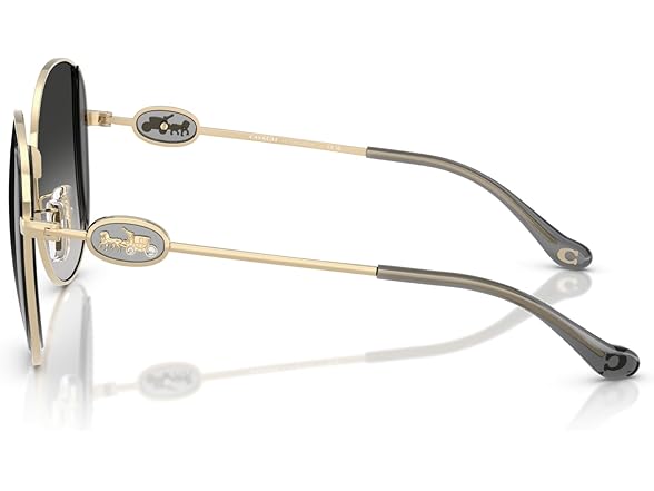 COACH Women's Sunglasses HC 7176 B