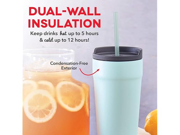 DASH 20oz Tumbler with Spill-Proof Lid and Straw  2PK