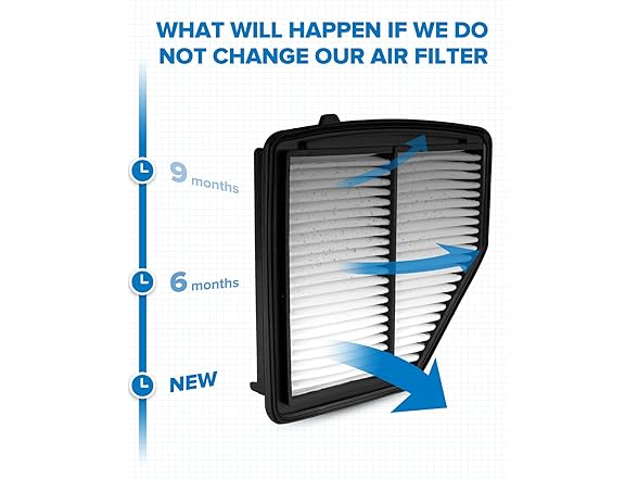 PHILTOP Engine Air Filter CA12052