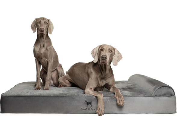 NOAH & PAW Dog Beds- Size and Style VARIES - Gallery 4