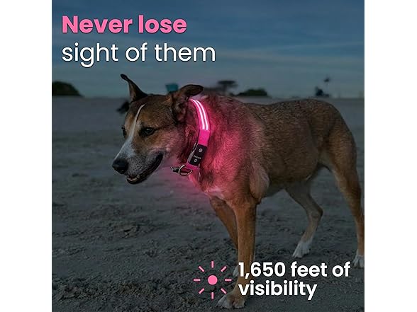 Tractive LED Light Up Dog Collar USB Rechargeable Pink Small
