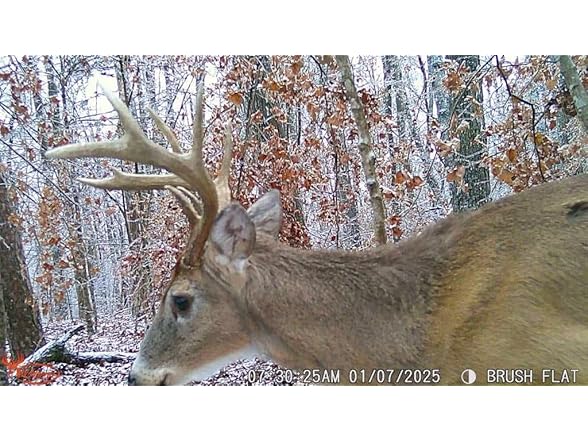 Wildgame Innovations 24MP Terra XD Trail Camera