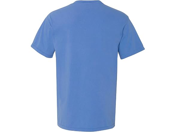 Comfort Colors Men (XL) Classic Crew Neck T-shirt