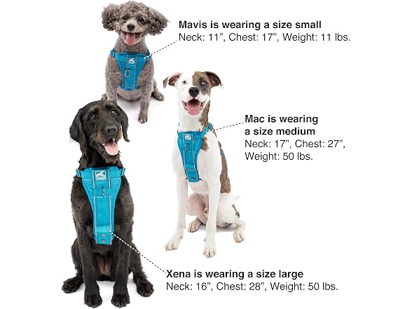 Kurgo Tru-Fit Smart Dog Walking Harness