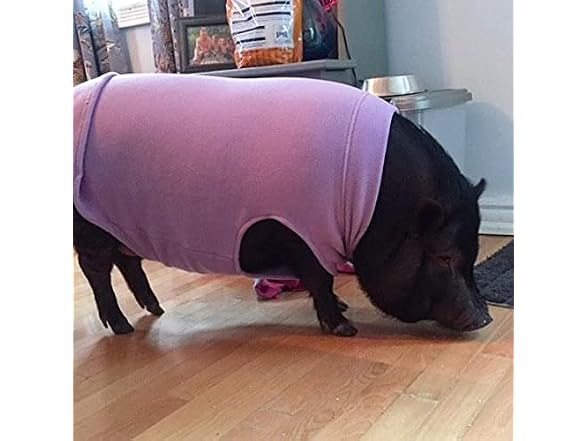 Gooby Stretch Fleece Vest Dog Sweater, Fores