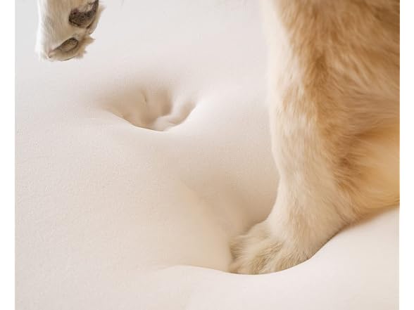 Paw Brands PupRug Curve Luxury Faux Fur Orthopedic