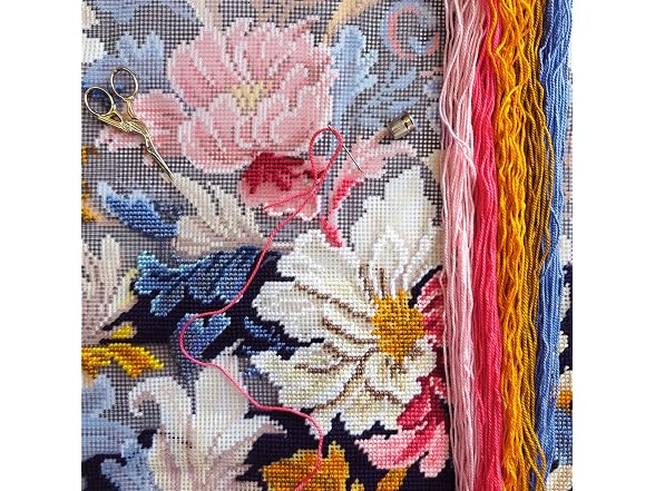 Brvsk Tapestry Embroidery Kit for Adults and Beginners