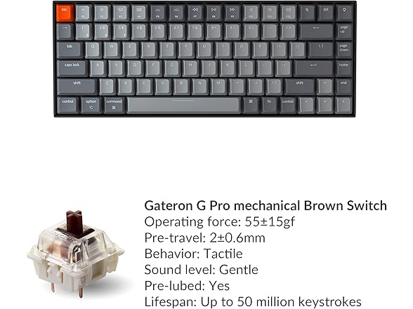 Keychron K2 75% RGB Wireless Mechanical Keyboard