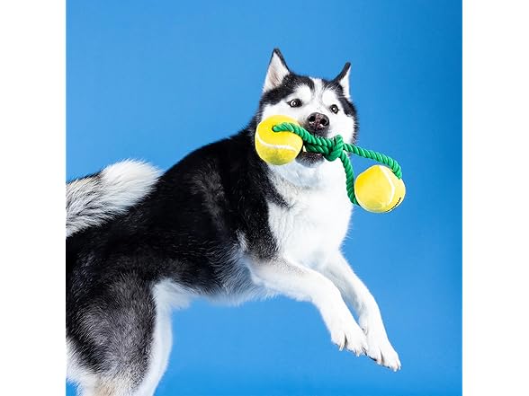 Fringe Studio Plush Dog Toy with Rope